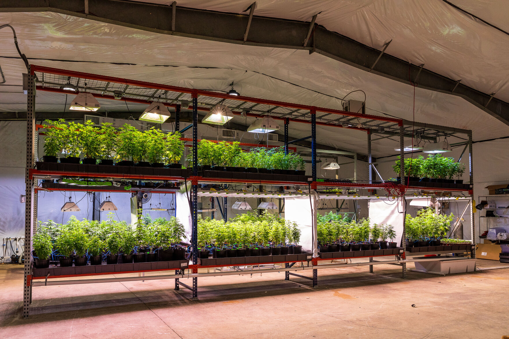 The inside grow facilities serve as South Tips insurance against storms, a schoolhouse for workers, and a research lab.